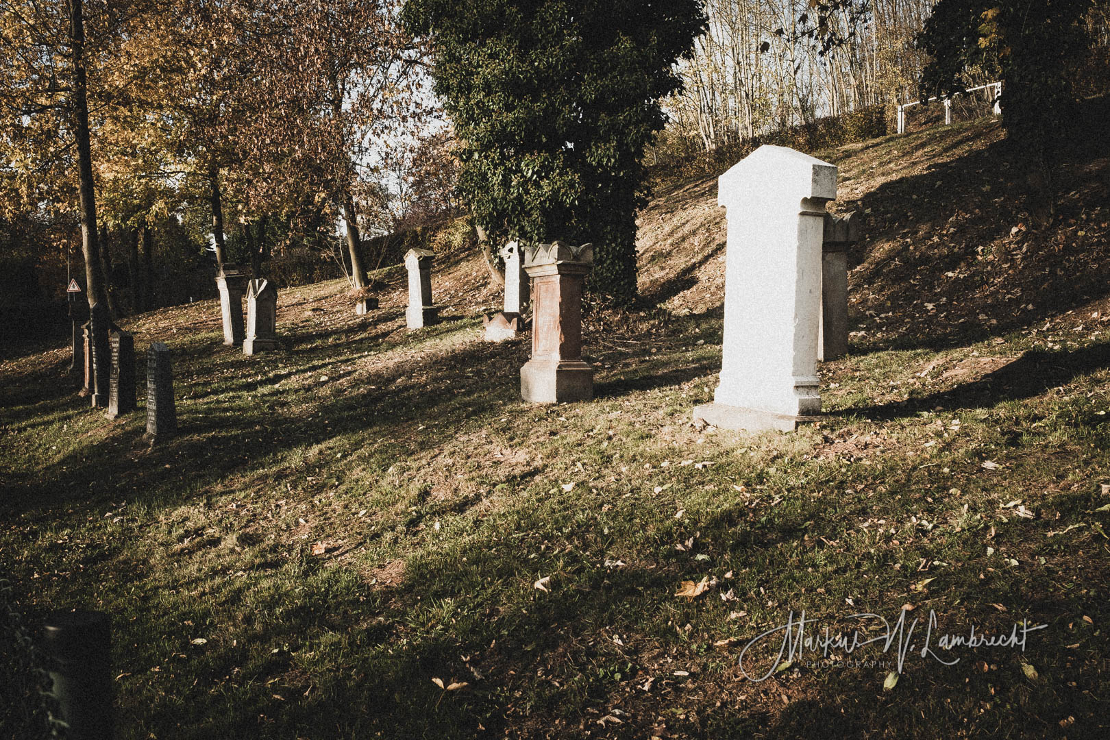 Sachsenhausen (Waldeck)